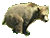 :bear: