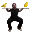 :squarsh: