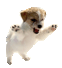 :goner: